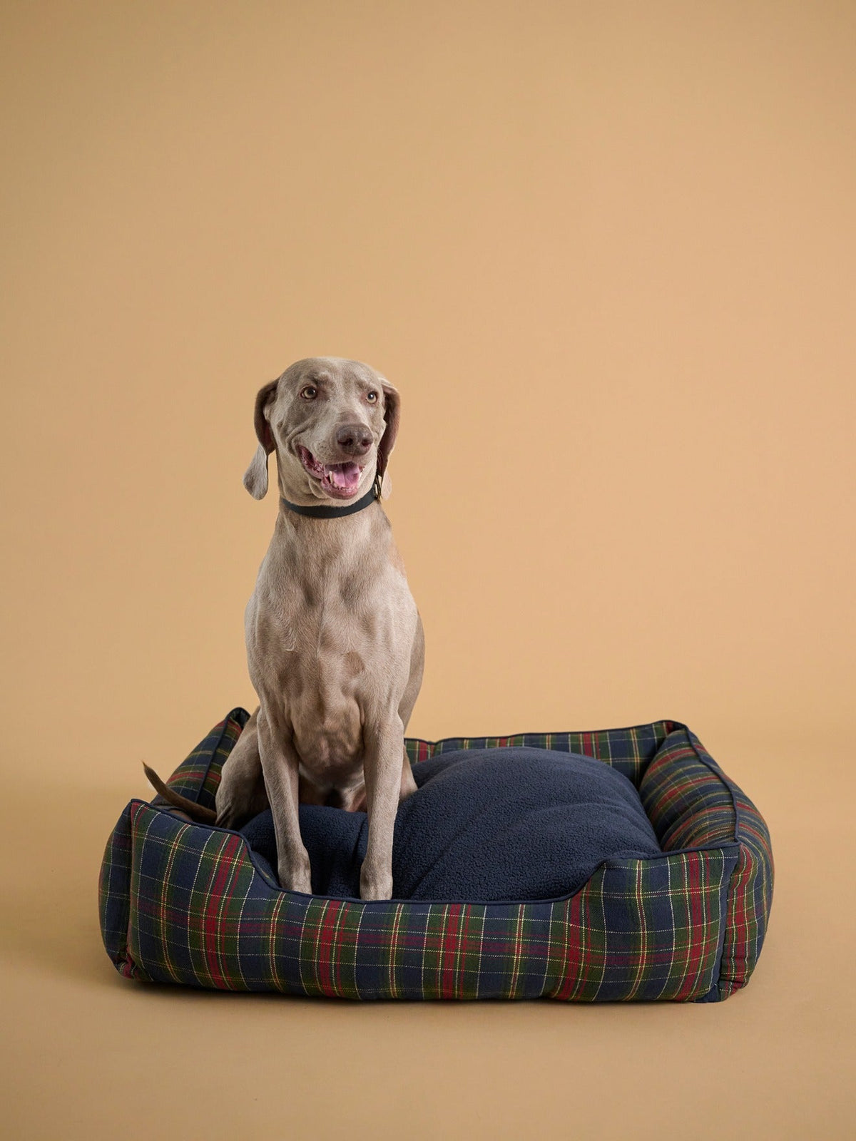 Panier pour chien grande taille - Collection Fine Truffe - 1