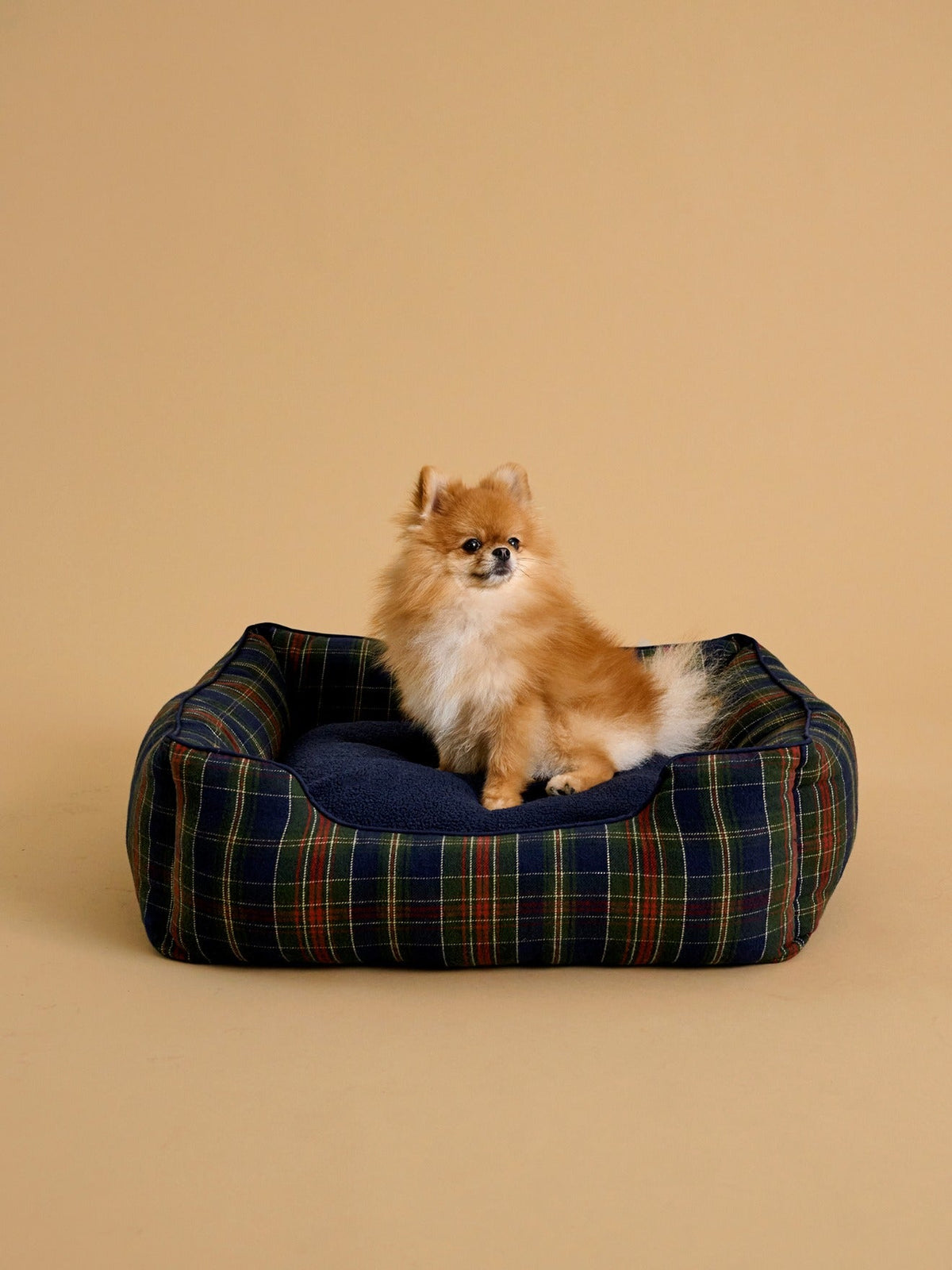 Panier pour chien taille moyenne - Collection Fine Truffe - 1