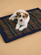 Couverture pour chien - Collection Fine Truffe - 1