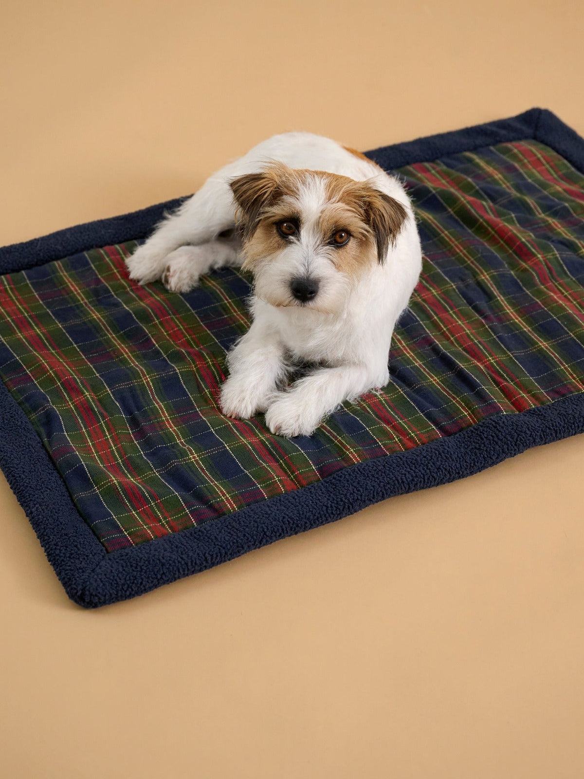 Couverture pour chien - Collection Fine Truffe - 1