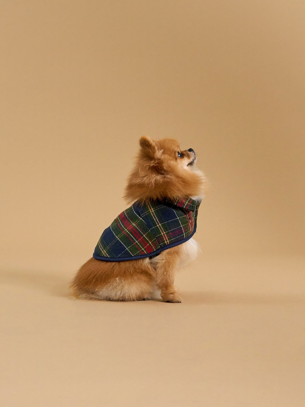 Manteau pour chien doublé  - Collection Fine Truffe - 1