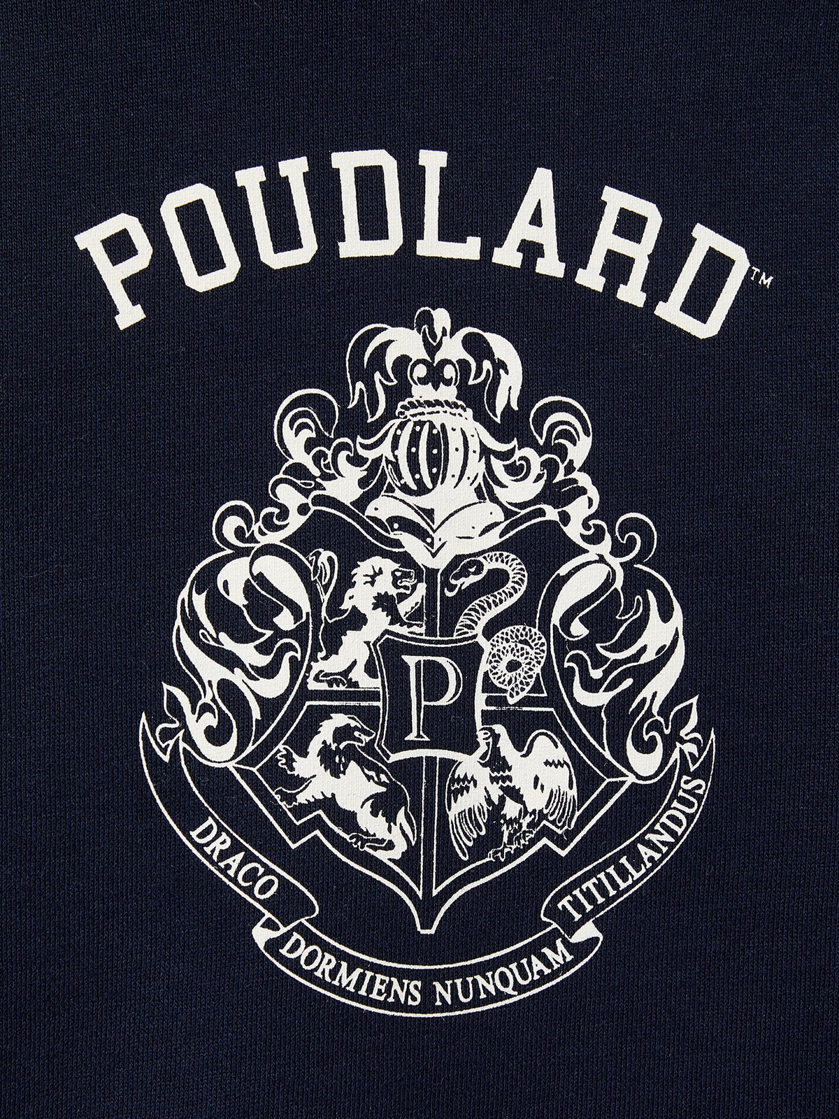 Sweat à capuche Enfant - Collection Harry Potter - 2